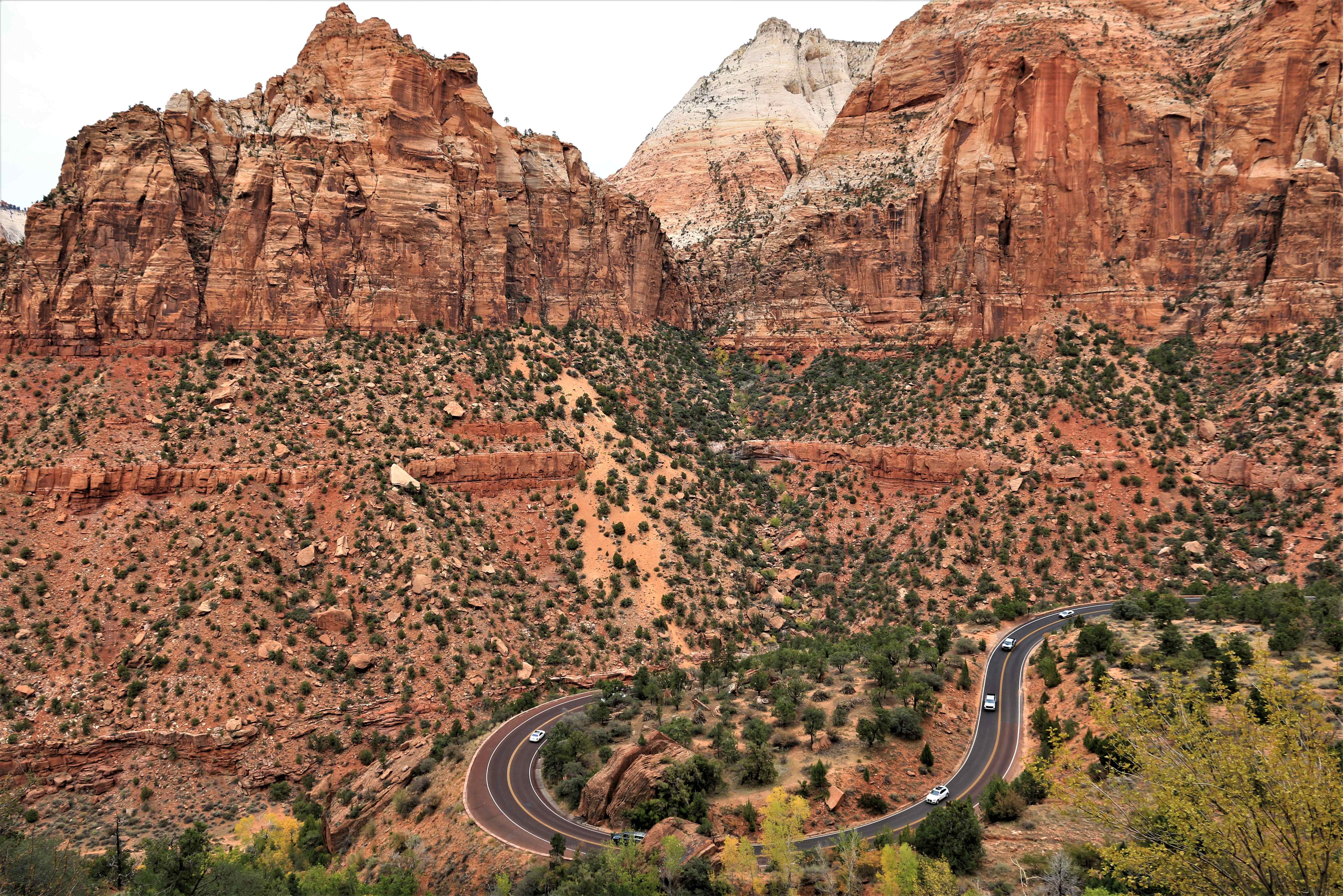 Zion NP